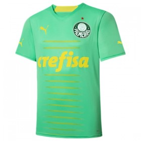 Goedkope Palmeiras Third Shirt 2022-23